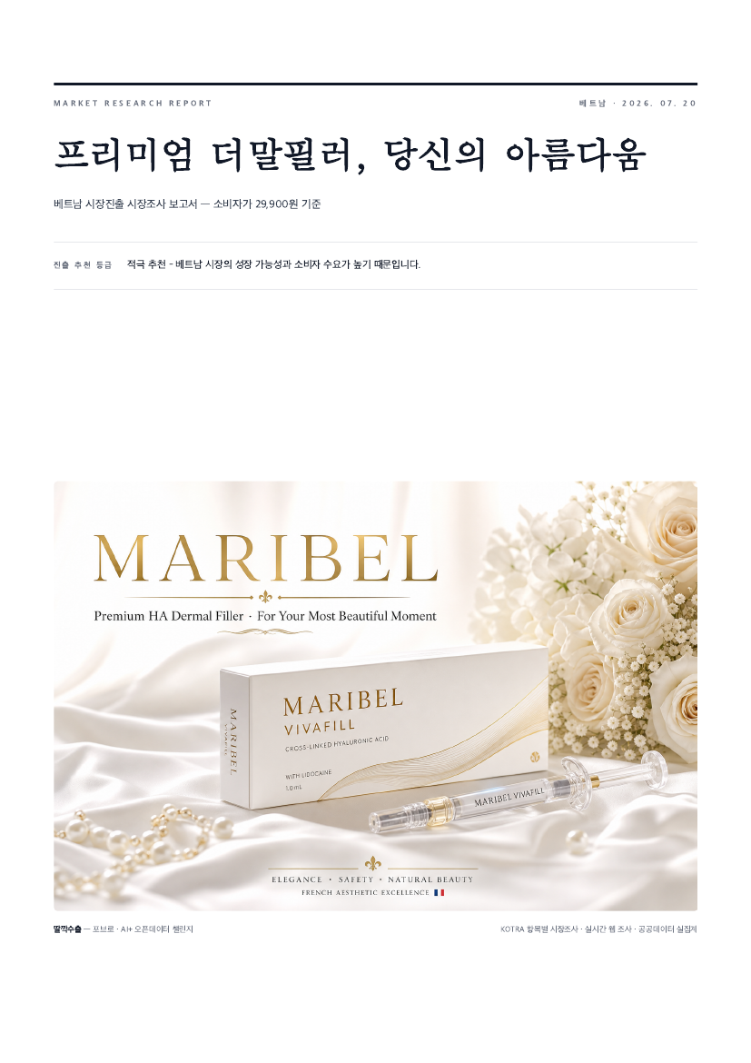 이전 KOTRA 항목별 보고서 v1 실제 예시 화면